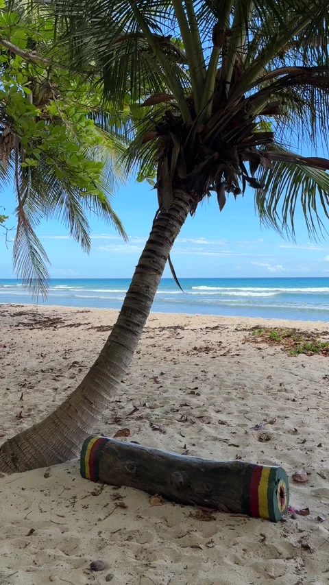 Coconut Palm view to blue ocean waves and white sand beach Stock-Footage 334793256