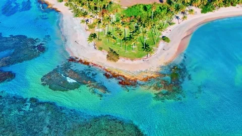 Coconut palms in front of turquoise sea wave on Dominican Esmeralda Beach. Stock Footage 303643353