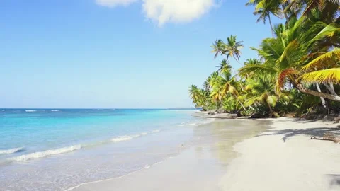 Coconut palms on white sandy beach of paradise island, Dominican Republic. Stock Footage 242565967