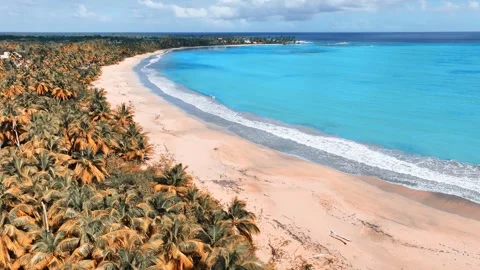 Coconut palms on a white sandy beach of a tropical island, Dominican Republic. Stock Footage 270314804