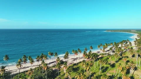 Coconut palms on a wild palm beach over the turquoise sea and white big waves. Vidéo 252107473
