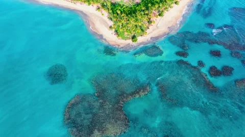 Coconut palms on a wild pristine palm beach over a turquoise sea and white waves Stock Footage 248664104