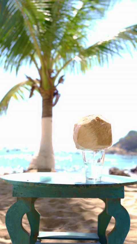 Coconut, on a paradise beach. with copy space for your promotional content Stock Footage 149332743