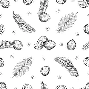 Coconut pattern, coco beach tropical leaf. Hand drawn sketch palm, woodcut art Illustrazione stock