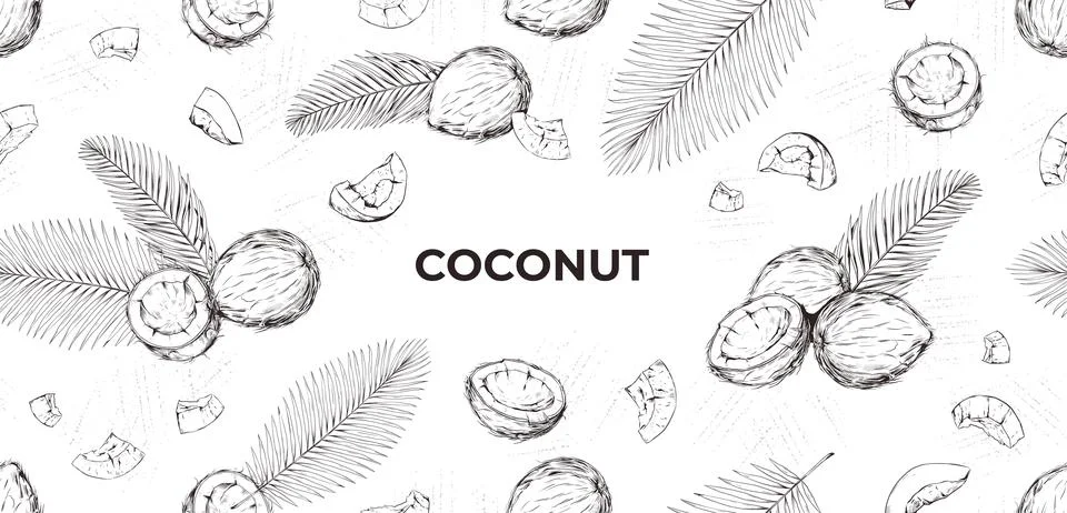 Coconut pattern, coco hand drawn sketch. Art flower drawing, line nuts, frame Stockillustratie