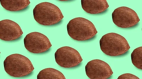Coconut pattern Stock Footage 135835737