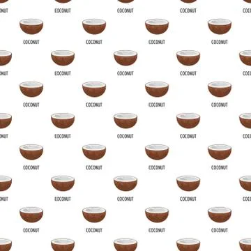 Coconut pattern seamless vector Stock Illustration