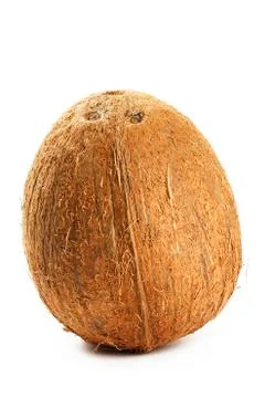 A coconut Stock Photos
