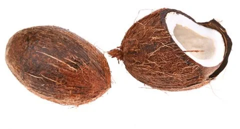 Coconut Stock Photos