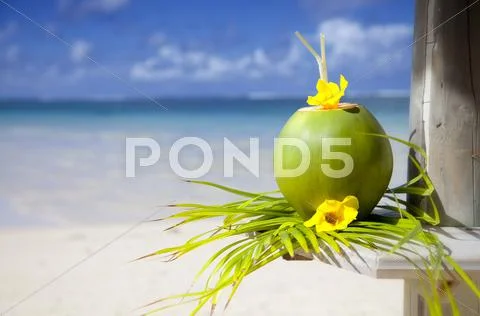 Coconut Stock Photos