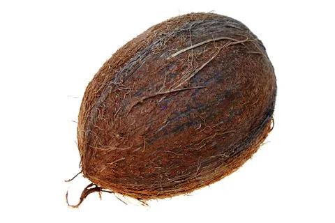 Coconut Stock Photos