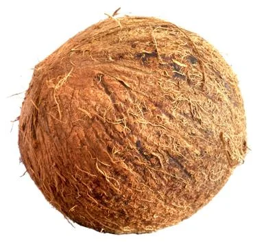 Coconut 스톡 사진
