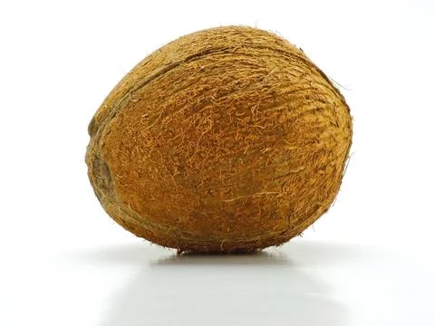 Coconut Stock Photos