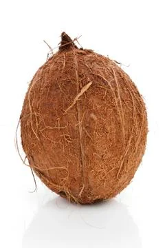 Coconut. Stock Photos