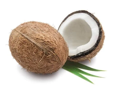 Coconut Stock Photos