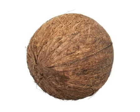 Coconut Stock Photos