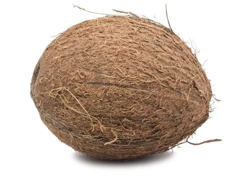 Coconut Stock Photos