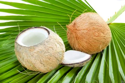 Coconut. Stock Photos