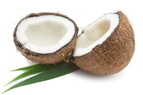Coconut Stock Photos