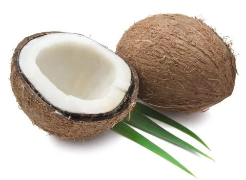 Coconut Stock Photos