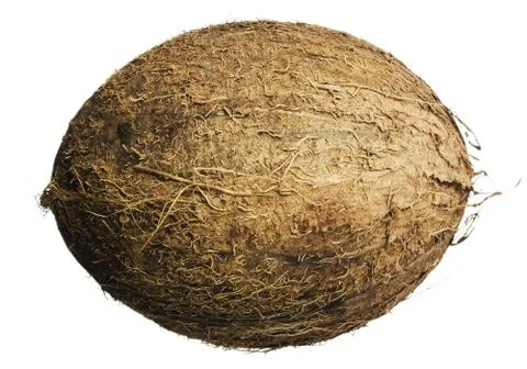 Coconut Stock Photos