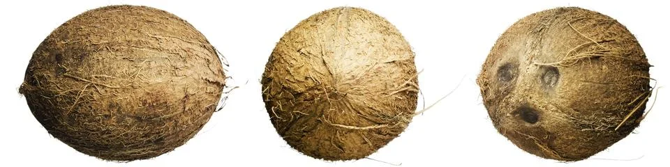 Coconut Stock Photos