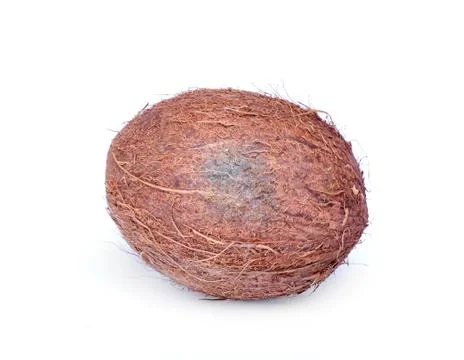 Coconut Stock Photos