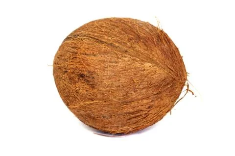 Coconut Stock Photos