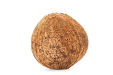 Coconut Stock Photos