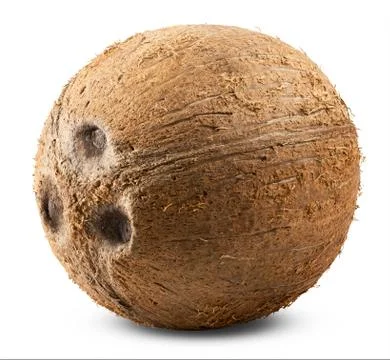 Coconut Stock Photos