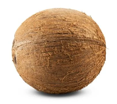 Coconut Stock Photos