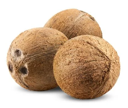Coconut Stock Photos