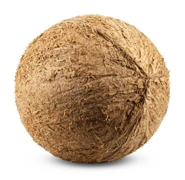 Coconut Stock Photos