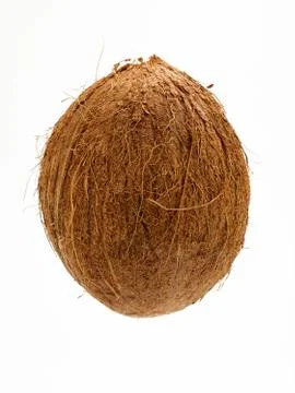 Coconut Stock Photos