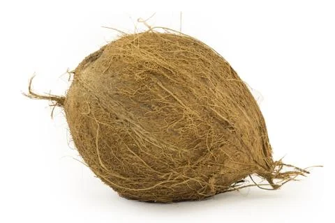 Coconut Stock Photos