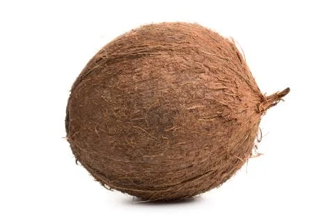 Coconut Stock Photos