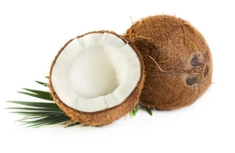 Coconut Stock Photos