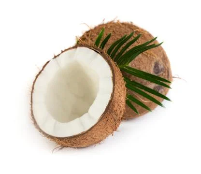 Coconut Stock Photos