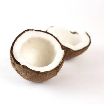 Coconut Stock Photos