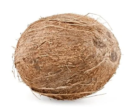 Coconut Stock Photos
