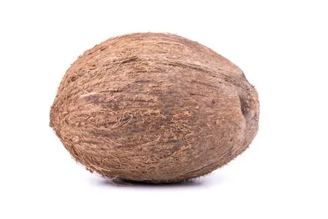 Coconut Stock Photos