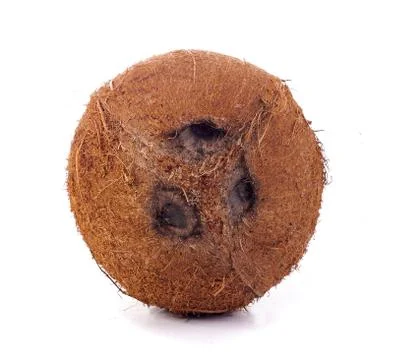 Coconut Stock Photos