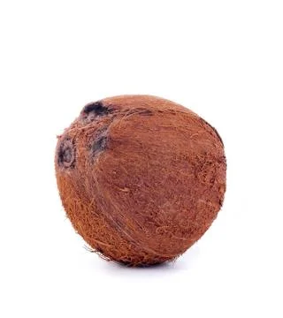 Coconut Stock Photos