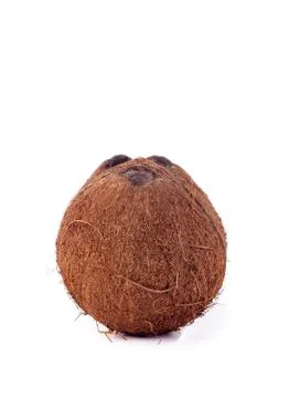 Coconut Stock Photos