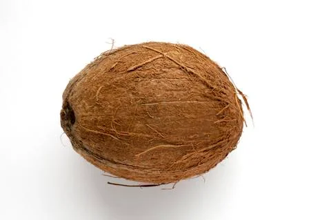 Coconut Foto stock