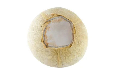 Coconut Stock Photos