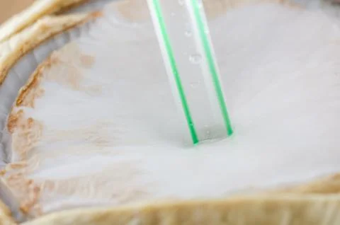 Coconut Stock Photos