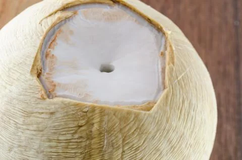 Coconut Stock Photos