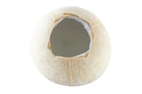 Coconut Stock Photos