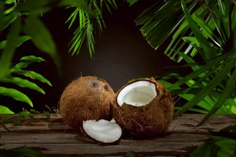 Coconut 写真素材